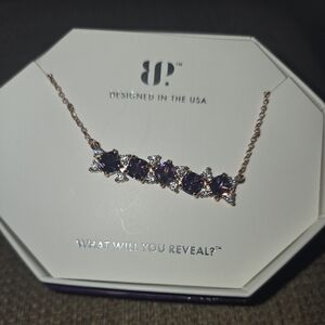 NEW THE SCATTERED BAR FEB. BDAY NECKLACE